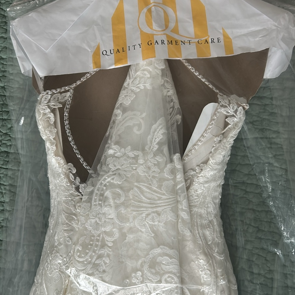 Gorgeous Stella York Wedding Gown - Picture 14 of 16